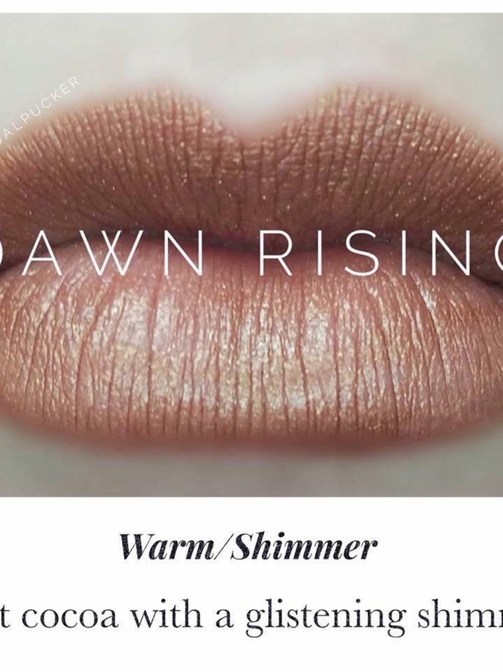 Lipsense by SeneGence Dawn Rising new never opened